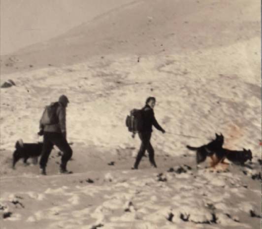 Search dogs history image